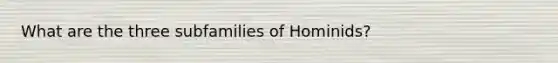 What are the three subfamilies of Hominids?