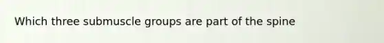 Which three submuscle groups are part of the spine