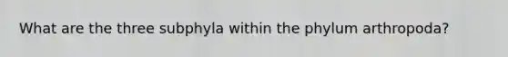 What are the three subphyla within the phylum arthropoda?