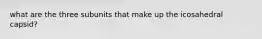 what are the three subunits that make up the icosahedral capsid?
