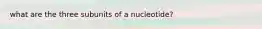 what are the three subunits of a nucleotide?