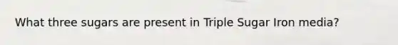 What three sugars are present in Triple Sugar Iron media?