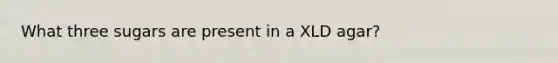 What three sugars are present in a XLD agar?