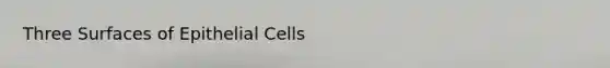 Three Surfaces of Epithelial Cells