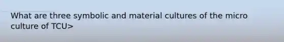 What are three symbolic and material cultures of the micro culture of TCU>