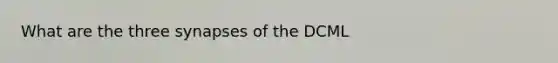 What are the three synapses of the DCML