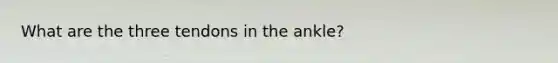 What are the three tendons in the ankle?