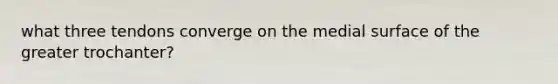 what three tendons converge on the medial surface of the greater trochanter?