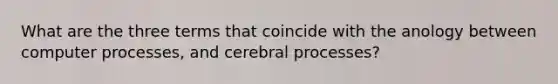 What are the three terms that coincide with the anology between computer processes, and cerebral processes?