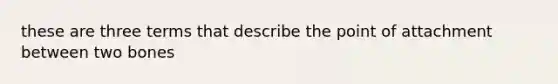 these are three terms that describe the point of attachment between two bones