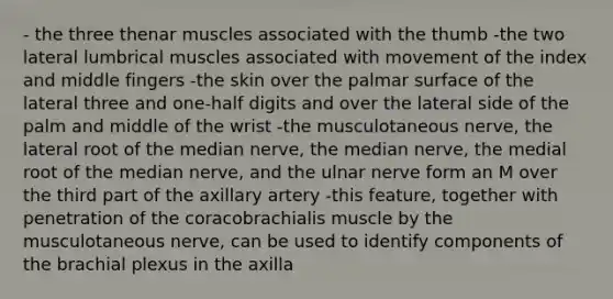 - the three thenar muscles associated with the thumb -the two lateral lumbrical muscles associated with movement of the index and middle fingers -the skin over the palmar surface of the lateral three and one-half digits and over the lateral side of the palm and middle of the wrist -the musculotaneous nerve, the lateral root of the median nerve, the median nerve, the medial root of the median nerve, and the ulnar nerve form an M over the third part of the axillary artery -this feature, together with penetration of the coracobrachialis muscle by the musculotaneous nerve, can be used to identify components of the brachial plexus in the axilla