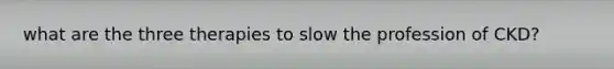 what are the three therapies to slow the profession of CKD?