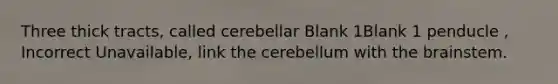 Three thick tracts, called cerebellar Blank 1Blank 1 penducle , Incorrect Unavailable, link the cerebellum with the brainstem.