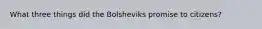 What three things did the Bolsheviks promise to citizens?