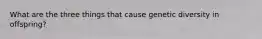 What are the three things that cause genetic diversity in offspring?
