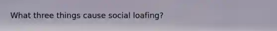 What three things cause social loafing?