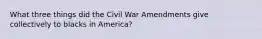 What three things did the Civil War Amendments give collectively to blacks in America?