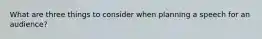 What are three things to consider when planning a speech for an audience?