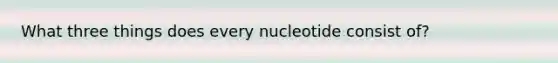 What three things does every nucleotide consist of?