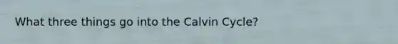 What three things go into the Calvin Cycle?