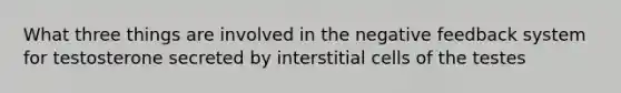 What three things are involved in the negative feedback system for testosterone secreted by interstitial cells of the testes