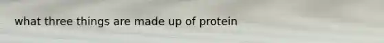 what three things are made up of protein