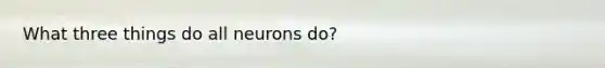 What three things do all neurons do?