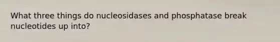 What three things do nucleosidases and phosphatase break nucleotides up into?