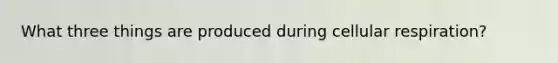 What three things are produced during cellular respiration?