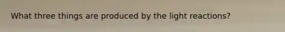 What three things are produced by the light reactions?