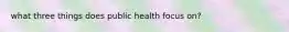 what three things does public health focus on?