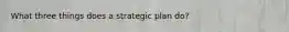 What three things does a strategic plan do?