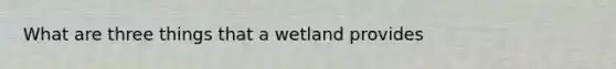 What are three things that a wetland provides