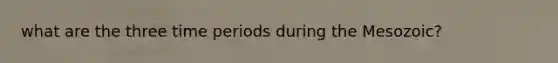 what are the three time periods during the Mesozoic?