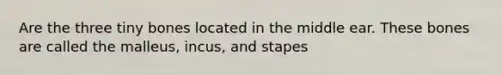 Are the three tiny bones located in the middle ear. These bones are called the malleus, incus, and stapes