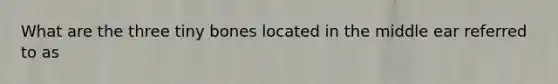 What are the three tiny bones located in the middle ear referred to as