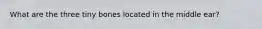 What are the three tiny bones located in the middle ear?