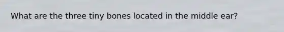 What are the three tiny bones located in the middle ear?