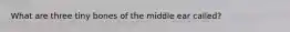 What are three tiny bones of the middle ear called?