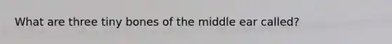 What are three tiny bones of the middle ear called?