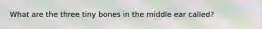 What are the three tiny bones in the middle ear called?