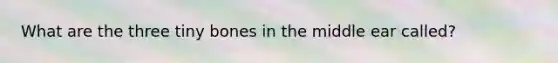 What are the three tiny bones in the middle ear called?