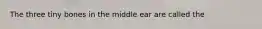 The three tiny bones in the middle ear are called the