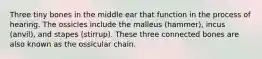 Three tiny bones in the middle ear that function in the process of hearing. The ossicles include the malleus (hammer), incus (anvil), and stapes (stirrup). These three connected bones are also known as the ossicular chain.