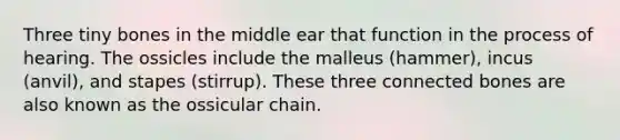 Three tiny bones in the middle ear that function in the process of hearing. The ossicles include the malleus (hammer), incus (anvil), and stapes (stirrup). These three connected bones are also known as the ossicular chain.