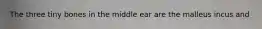 The three tiny bones in the middle ear are the malleus incus and