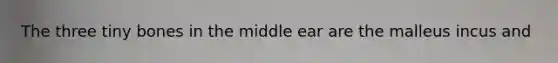 The three tiny bones in the middle ear are the malleus incus and