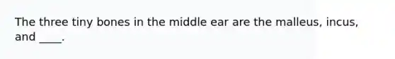 The three tiny bones in the middle ear are the malleus, incus, and ____.