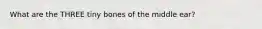 What are the THREE tiny bones of the middle ear?