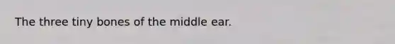 The three tiny bones of the middle ear.